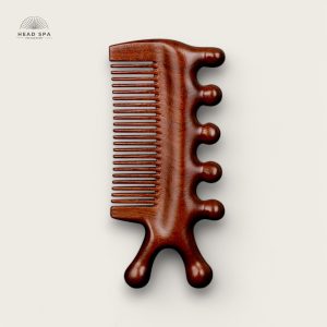 Peigne en bois  3 en 1