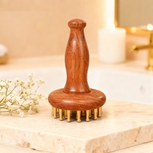 2 Masseurs Acupression